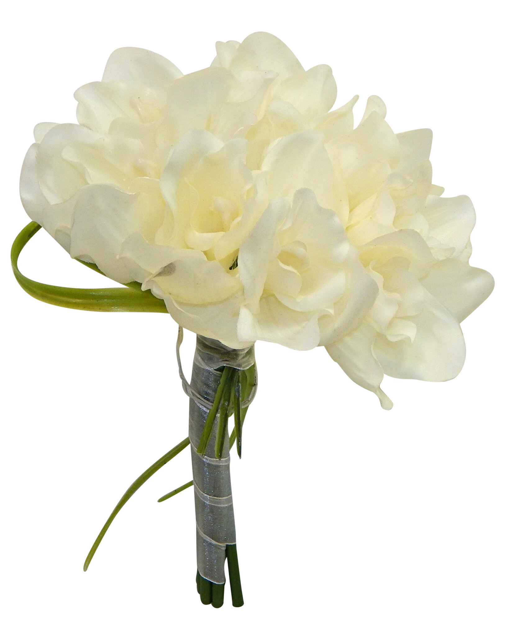 Charlton Home Cymbidium Orchid Bouquet Wayfair