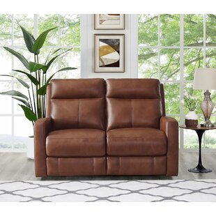 Amasia Leather Reclining Loveseat By Winston Porter