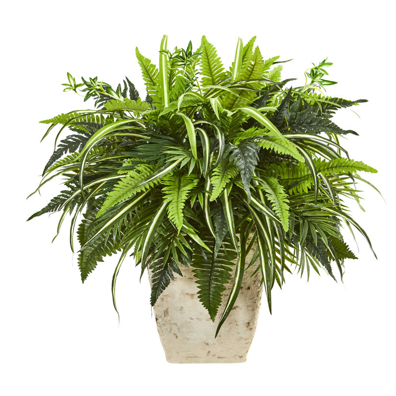 Alcott Hill Artificial Fern Plant in Planter Wayfair