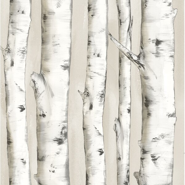Union Rustic Ferrao Birch Tree 33 L X 20 4 W Wallpaper Roll Reviews Wayfair