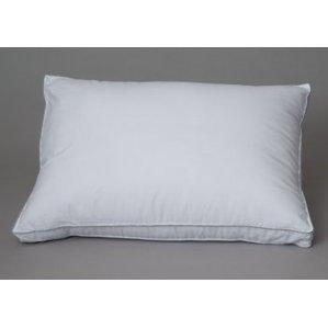 MicronOne Gusseted Down Alternative Pillow by Alwyn Home