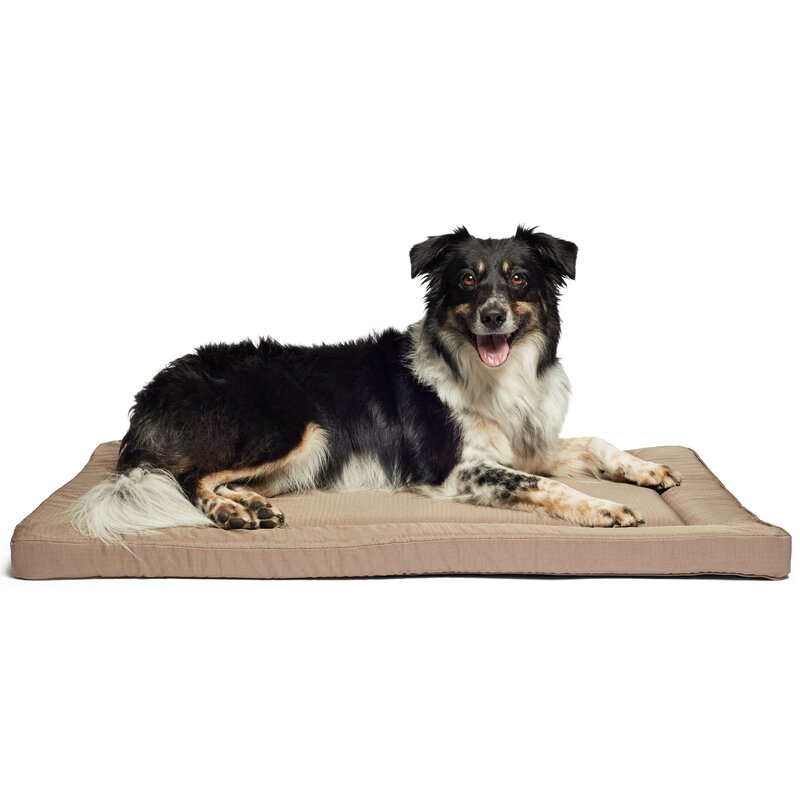 orthopedic pet mat