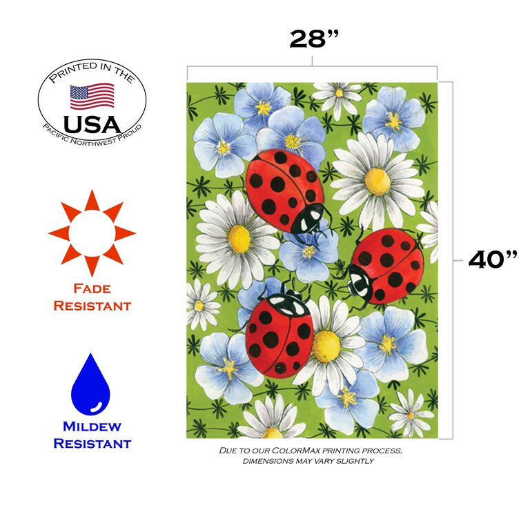 Toland Home Garden Flowers and Ladybugs 28 x 40 Inch Decorative Spring Daisy Flower Bug House Flag