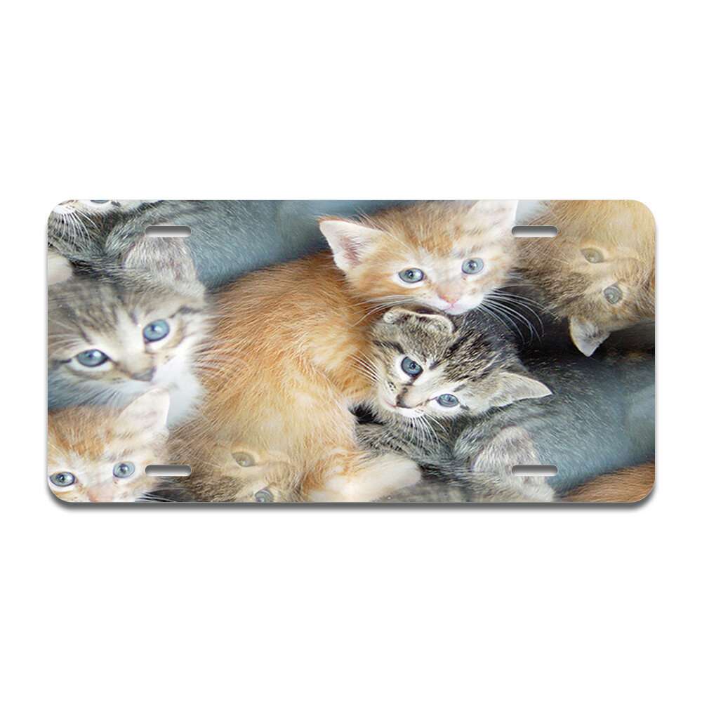 Signmission Kittens Aluminum Plate Frame Wayfair