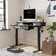 Inbox Zero Euri Height Adjustable Standing Desk & Reviews | Wayfair