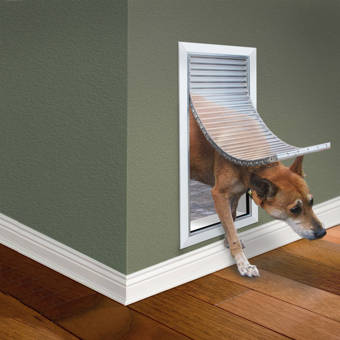 Plexidor Performance Pet Door Wall Mount Reviews Wayfair