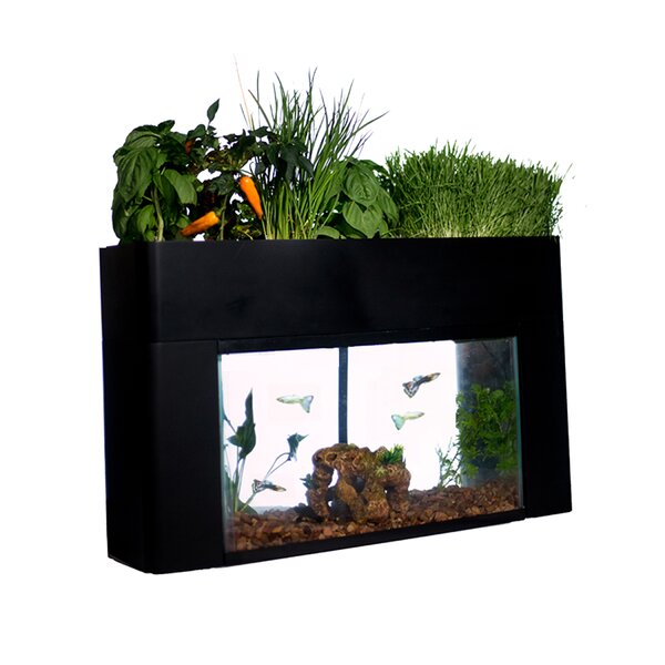 used 10 gallon fish tank for sale