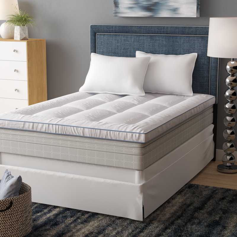 Biopedic Memory Plus Deluxe 3 In Memory Foam And Polyester Mattress Topper Reviews Wayfair