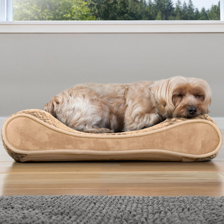 ollies dog beds