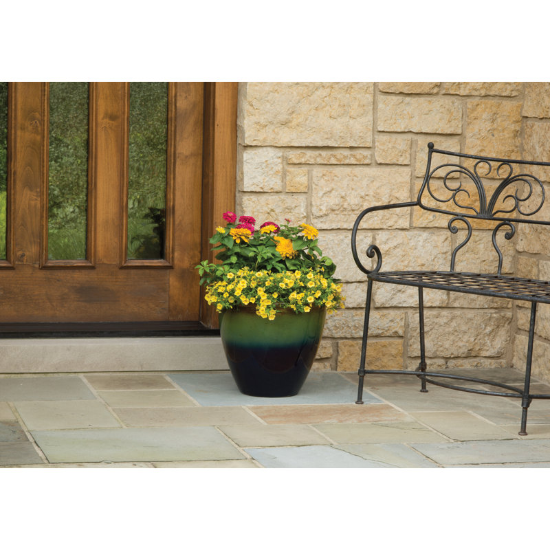Suncast Premium Glaze Decorative Resin Pot Planter Reviews