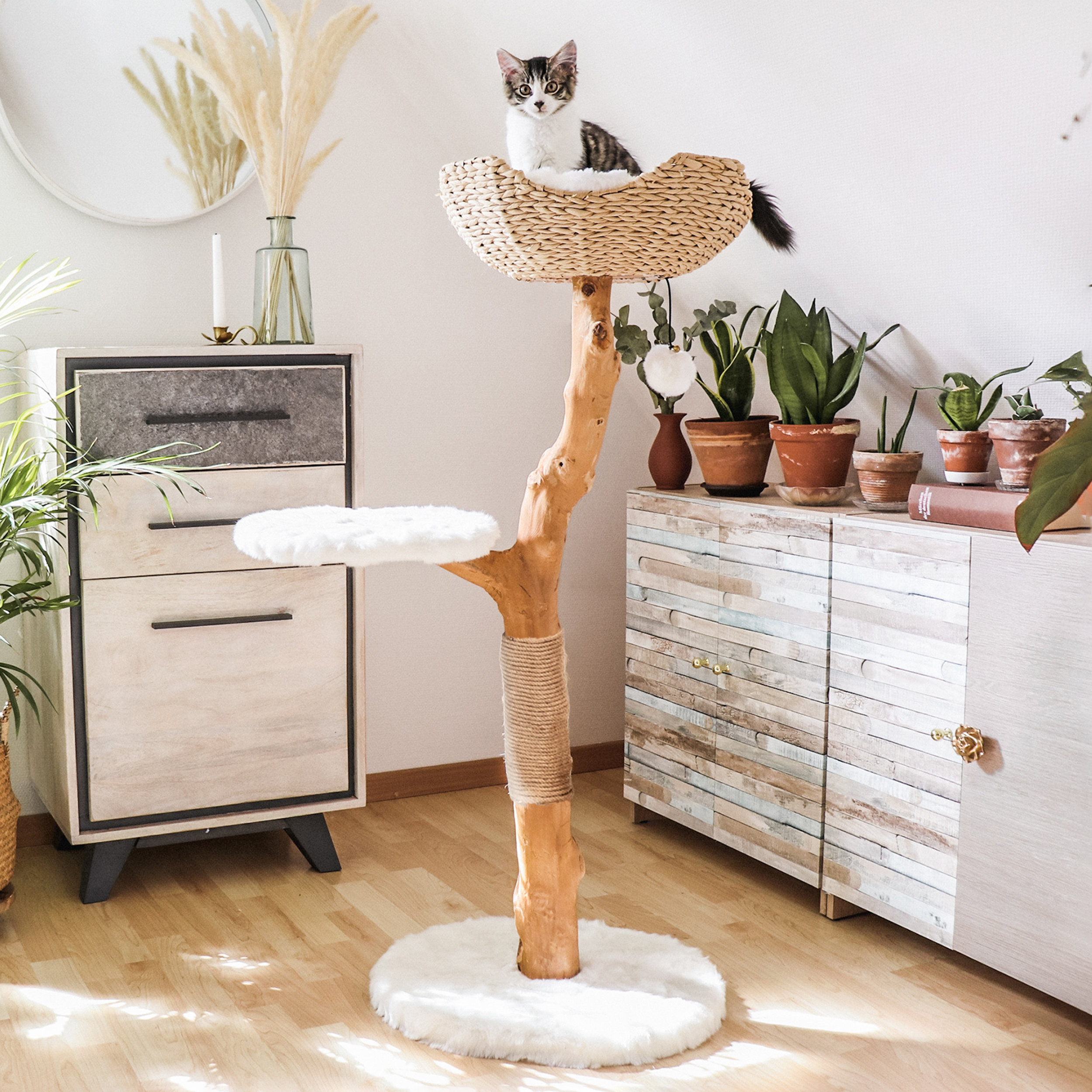 Tucker Murphy Pet 43 Strathmore Uni Cat Tree Reviews Wayfair Tucker Murphy Pet 43 Strathmore Uni Cat Tree Reviews Wayfair