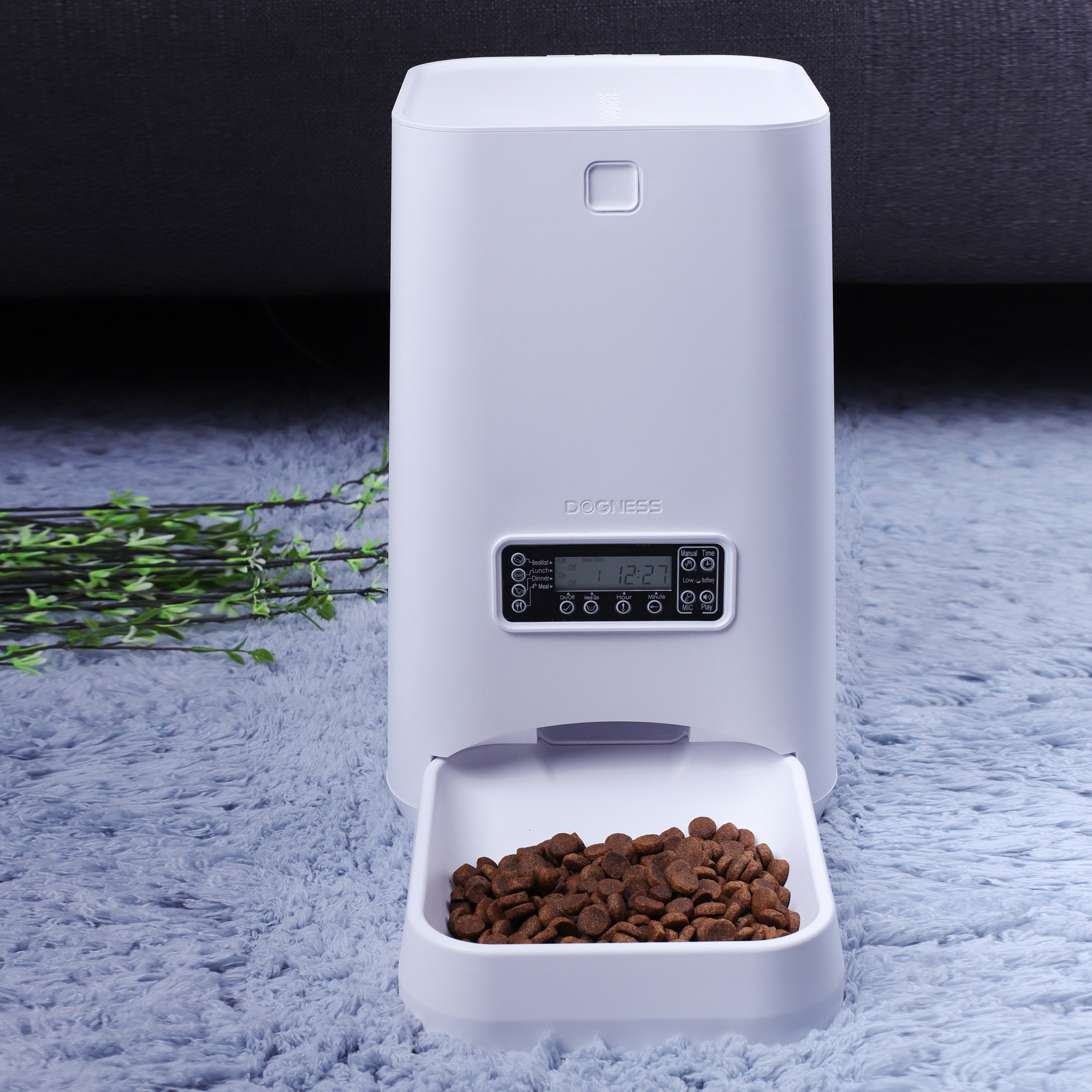 automatic feeder