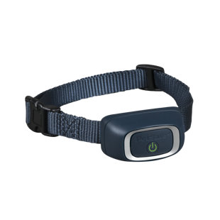petsafe collar beeps randomly