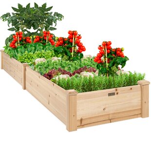 Wood pflanzkasten with Panel White 2er Set-Decorative Planter Herb Garden 