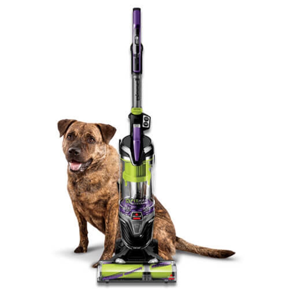 Bissell Pet Hair Eraser® Turbo Plus Vacuum Cleaner & Reviews | Wayfair