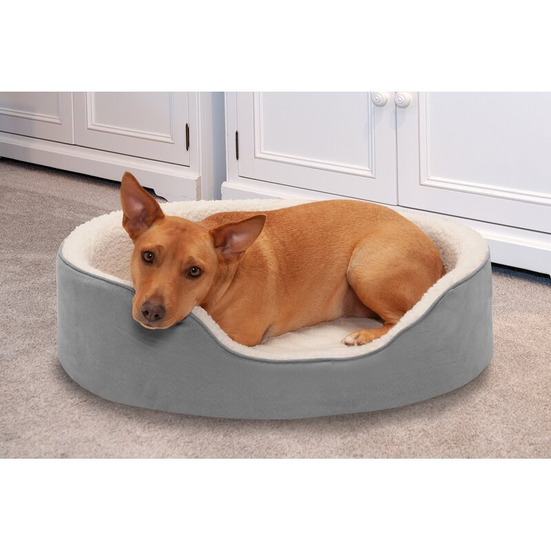 bolster dog beds on sale