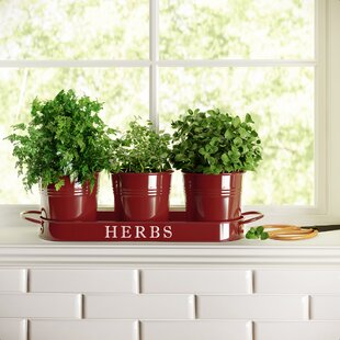 HERB POTS WITH WATER TRAY Herbs Plant Pot Windowsill Conservatory Plants Metal 