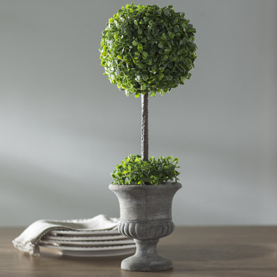 Boxwood Foliage Topiary in Urn Lark Manor
