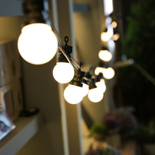 Best Ewert Globular LED 24 Light String Light By Breakwater Bay Outdoor Lighting Ewert Globular LED 24 Light String Light By Breakwater Bay Outdoor Lighting