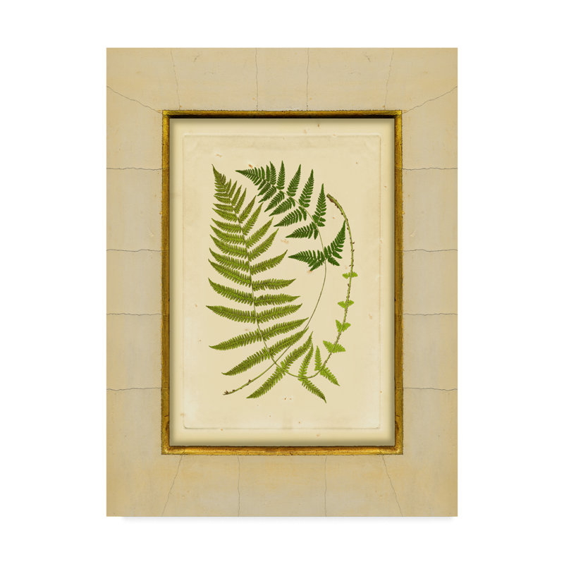 Millwood Pines Fern With Crackle Mat Iii Graphic Art Print On