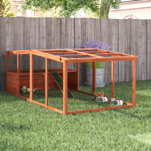 Playpen Enclosure Rabbit Cages Hutches You Ll Love Wayfair Freddy Extra Large Outdoor Run With Mesh Cover