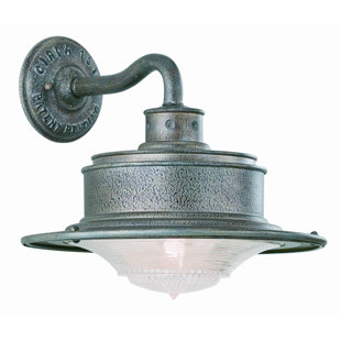 Go to store & view more images Theodore 1-Light Outdoor Barn Light by Darby Home Co