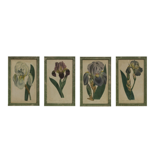 Rosalind Wheeler Reproduction Iris 4 Piece Picture Frame Print Set On Wood Wayfair