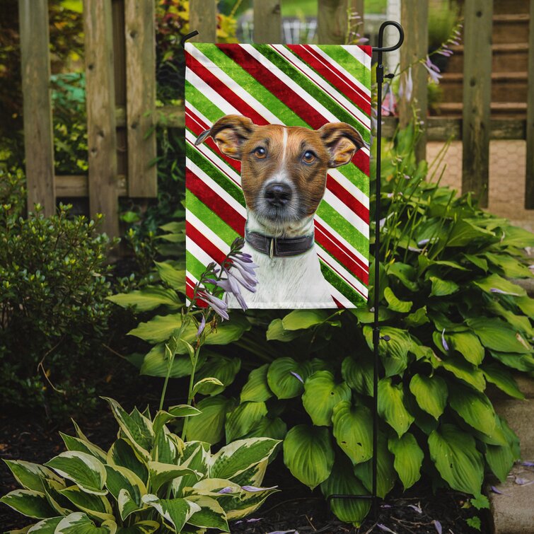 Jack Russell Terrier Christmas Flag 