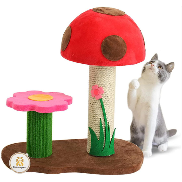 mushroom cat