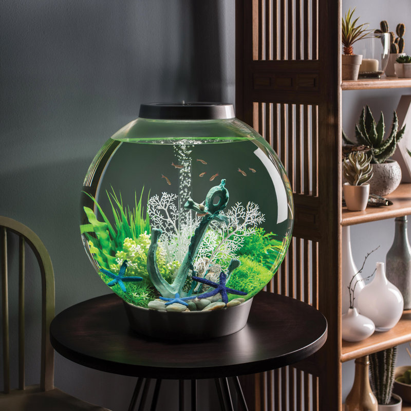 biorb aquarium