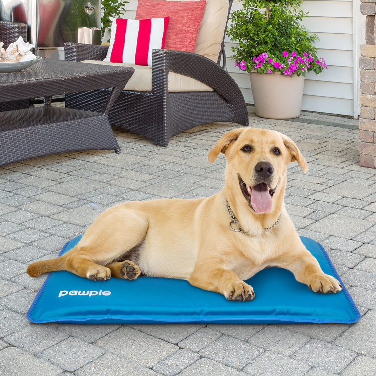 self cooling pet mat