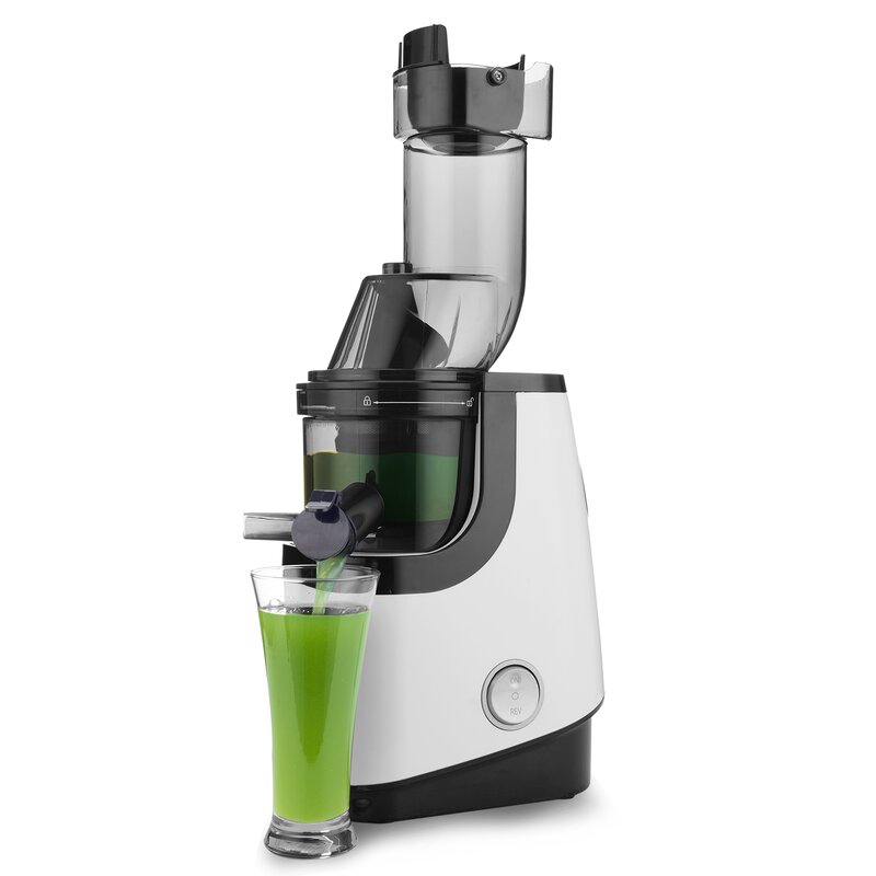 Caynel Slow Masticating & Cold Press Juicer | Wayfair