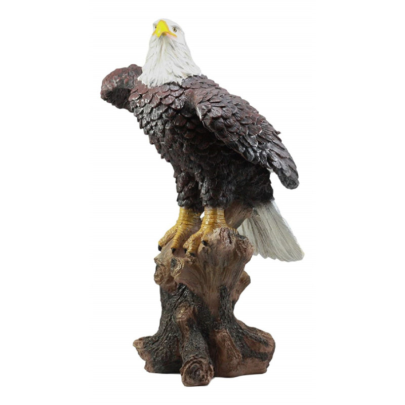 Millwood Pines Sedalia American Pride Bald Eagle Perching On Tree