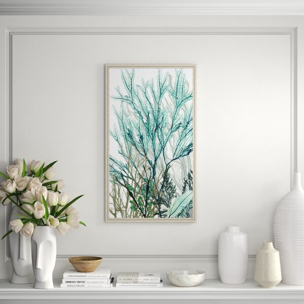 Vintage Print Gallery 'Seaweed Panel I' Framed Graphic Art Print | Perigold