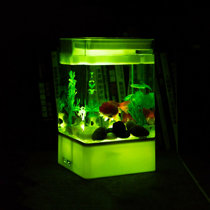 White Fish You Ll Love In 2021 Wayfair