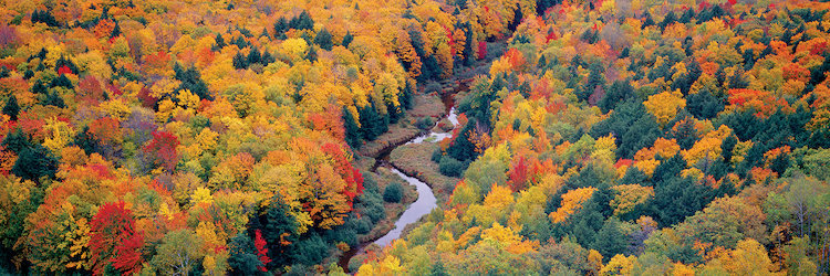 East Urban Home Autumn Landscape I Porcupine Mountains Wilderness State Park Upper Peninsula Michigan Usa Photographic Print On Wrapped Canvas Wayfair