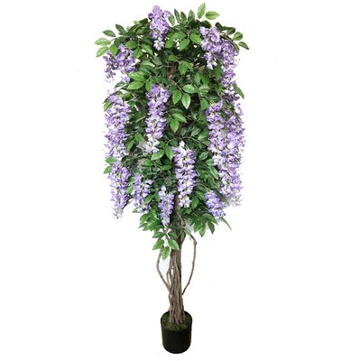 Multi Vine Trunk Wisteria Silk Flowering Tree in Pot