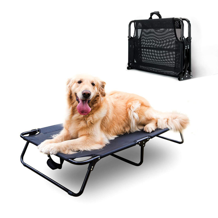raised dog cot