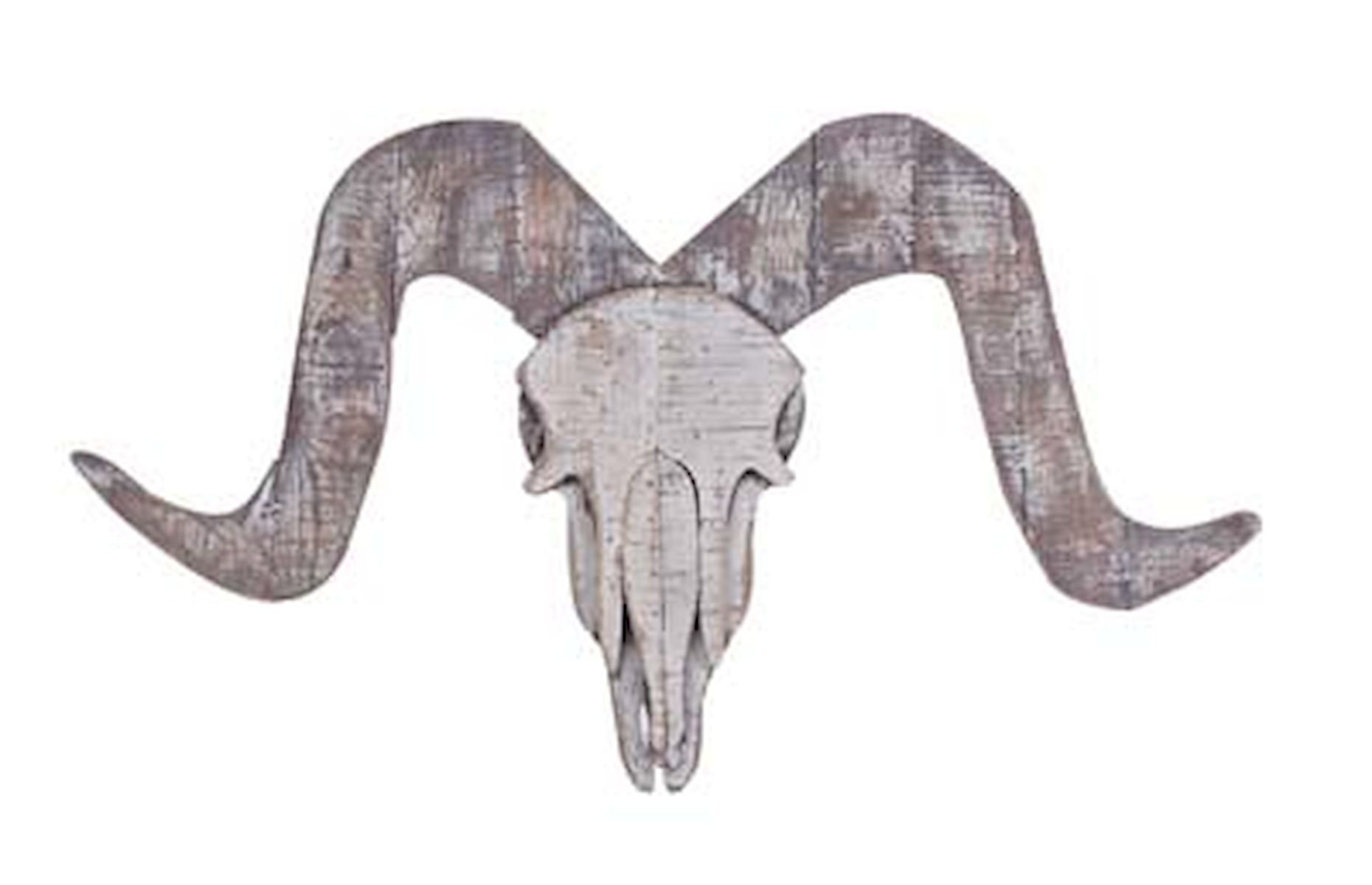 August Grove® Ram Head Wall Décor Wayfair