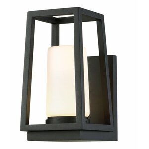 Hurricane 1 Light LED Outdoor Sconce