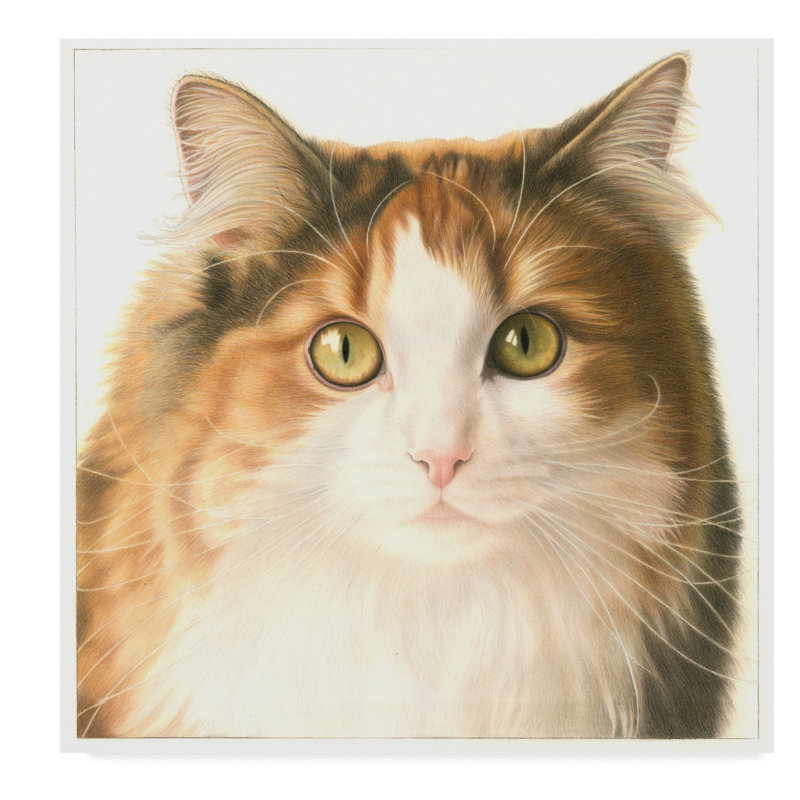 Trademark Art Orange Cat Portrait Acrylic Painting Print On