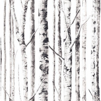 Birch White Trees Forest Winter Wallpaper Roll Woodland 24in x 27ft
