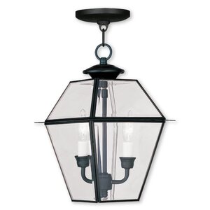 Orchard Lane 2-Light Outdoor Hanging Lantern