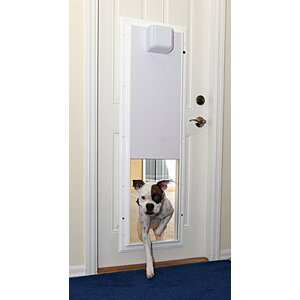 Performance Electronic Pet Door Wall Mount