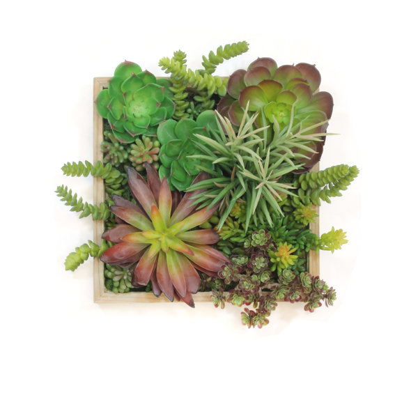 Wall Hanging 3D Artificial Flower Succulent Plant Plaque Decal Home Decor Potted