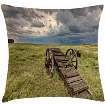 Highland Dunes Delphos Crab Pillow Wayfair