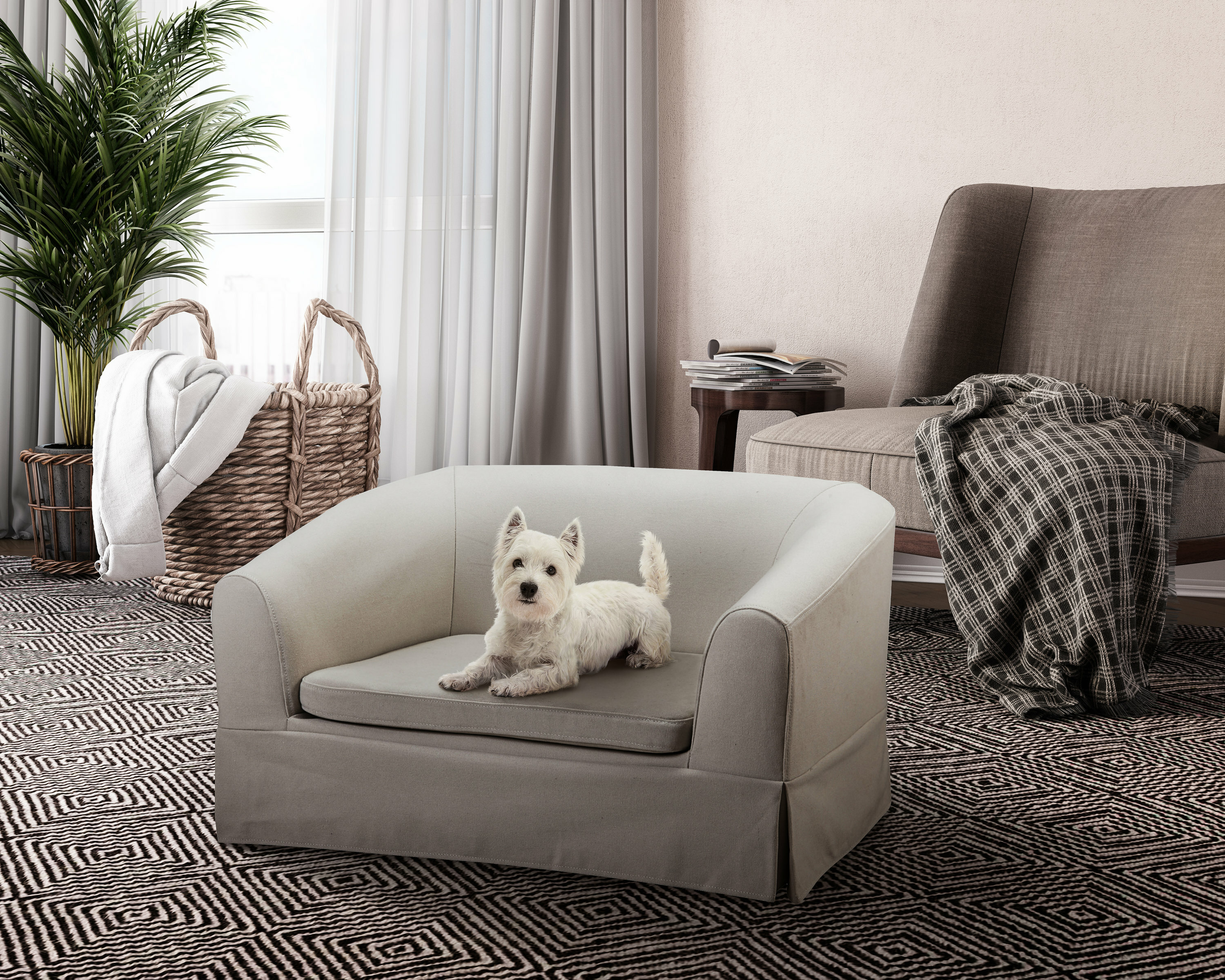 constantine dog sofa