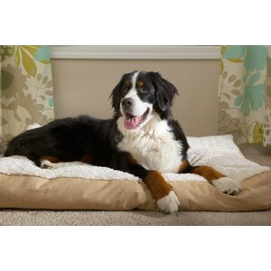 Reina Pet Bed