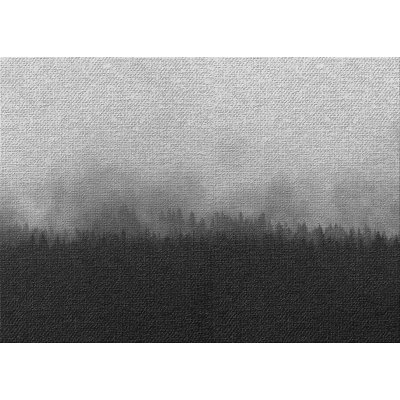 Monochrome 169 Gray Area Rug East Urban Home Rug Size Rectangle 3 x 5