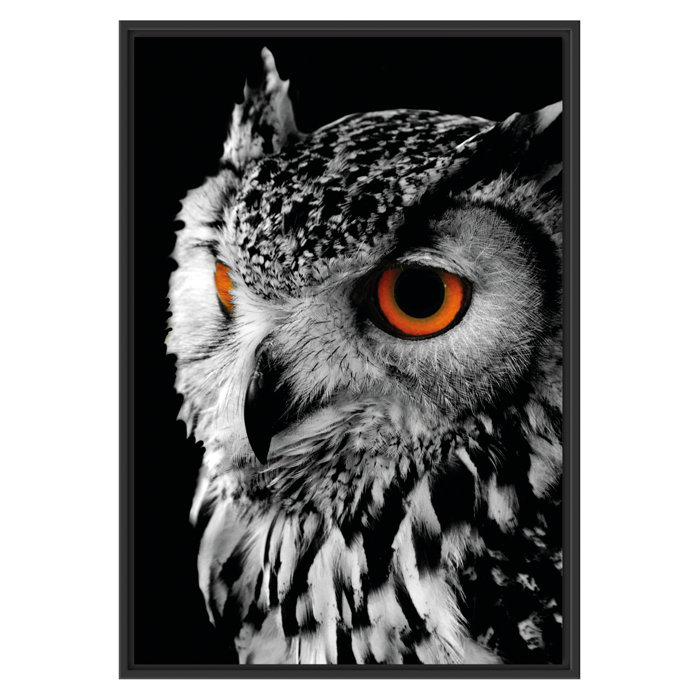 East Urban Home Gerahmtes Wandbild Dark Eule mit orangen East Urban Home Gerahmtes Wandbild Dark Eule mit orangen